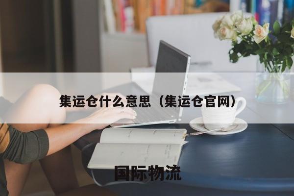 集运仓库，全球集运仓查询