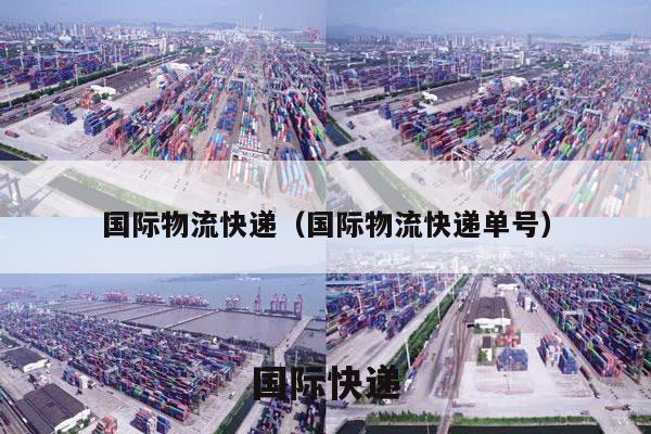 国际物流快递（国际物流快递单号）