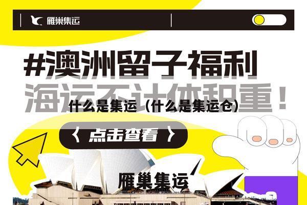 什么是集运（什么是集运仓）