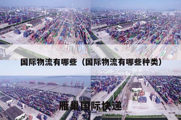 国际物流有哪些（国际物流有哪些种类）