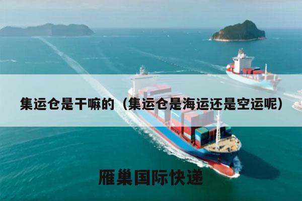 集运仓是干嘛的（集运仓是海运还是空运呢）