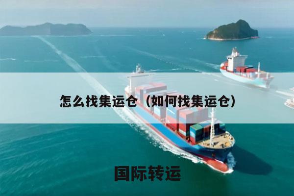 怎么找集运仓（如何找集运仓）