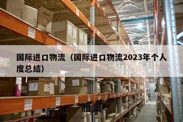 国际进口物流（国际进口物流2023年个人度总结）