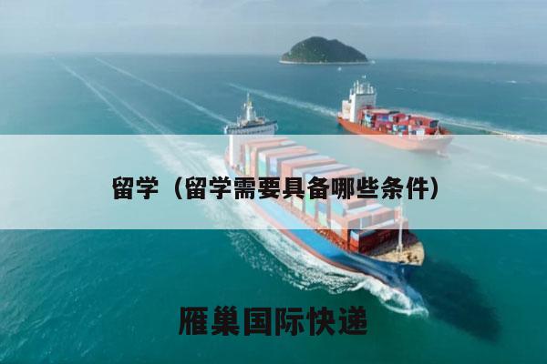 留学（留学需要具备哪些条件）