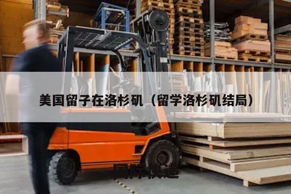美国留子在洛杉矶（留学洛杉矶结局）